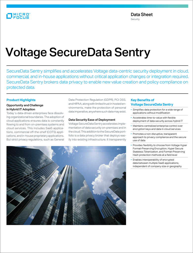 Voltage SecureData Sentry preview