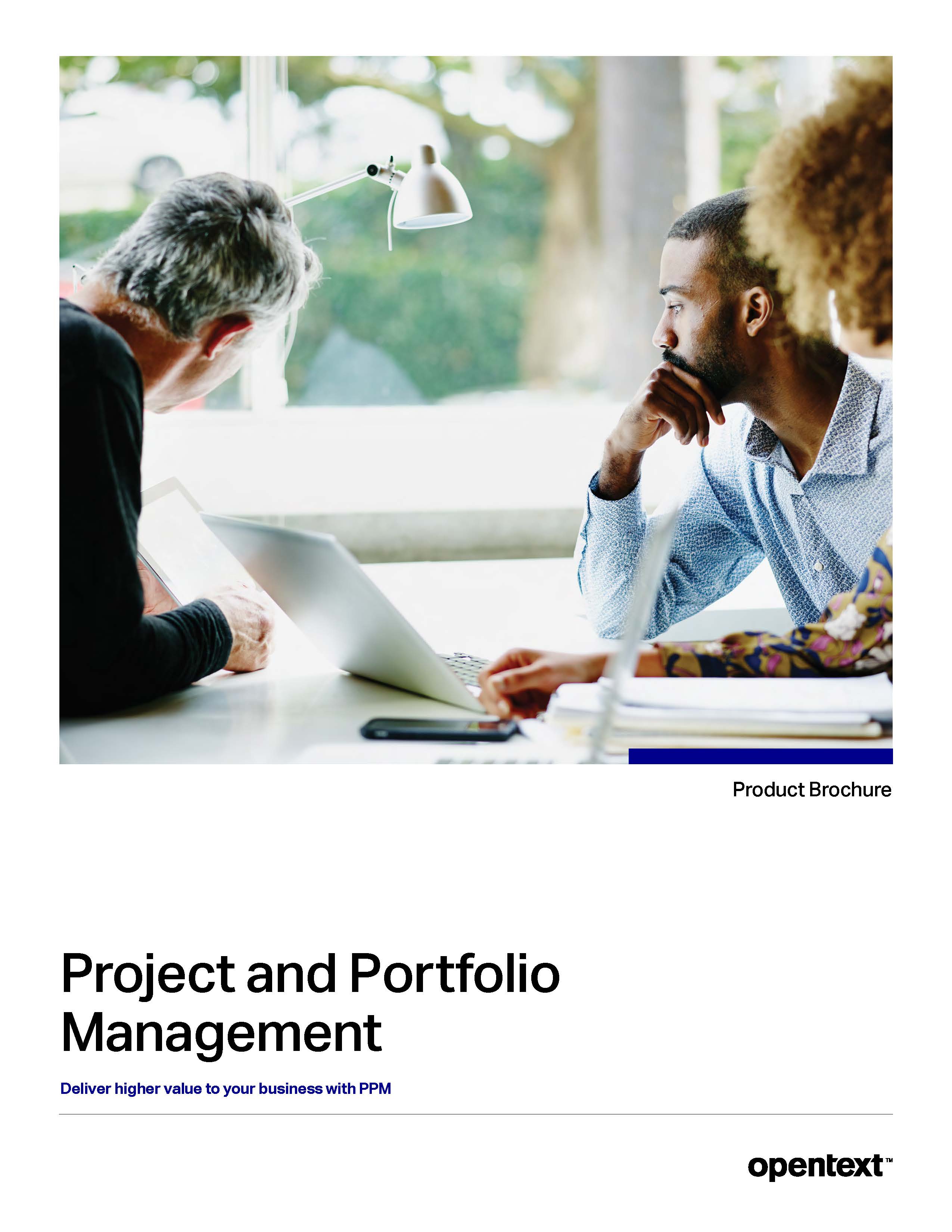 project-and-portfolio-management-brochure-en_Page_01.jpg