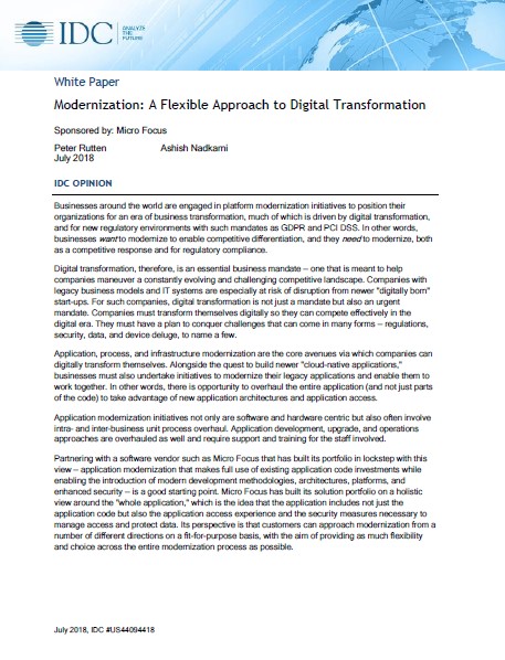 Modernization A Flexible Approach to Digital Transformation preview